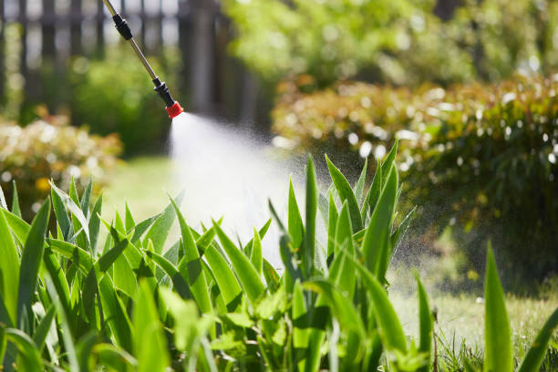 24/7 Emergency Ant Control experts in Marion, IL