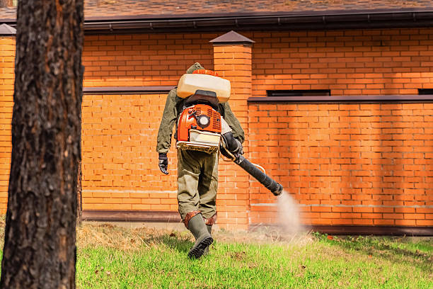 Trusted Ant Control service in Marion, IL - Nex Pest Control